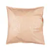20-1342 LOGO-PEACH