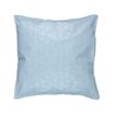 20-1342 LOGO-BLUE