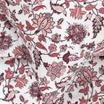20-1855-RED