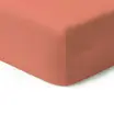 00-0268-CORAL