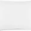 00-0000-0,2 OPTIC WHITE MON