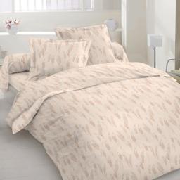 Voodipesu komplekt ABSTRAKT 40-1605-CREAM