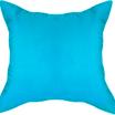 00-0333-BLUE/KANT