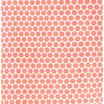 T0201-CORAL